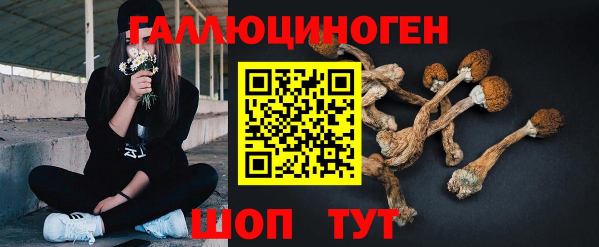 Галлюциногенные грибы Psilocybe  даркнет сайт  Ростов-на-Дону  Псилоцибиновые грибы мухоморы  Вход с VPN 